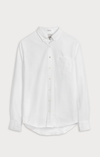 NEW OXFORD SOLID TAILORED FIT BD