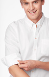 NEW OXFORD SOLID TAILORED FIT BD