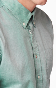 SHIRT ORGANIC OXFORD TAILORED FIT