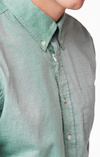 SHIRT ORGANIC OXFORD TAILORED FIT